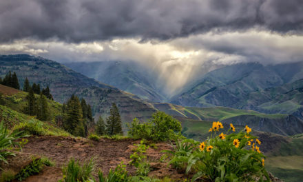 Stormy Weather Assignment Winner Philip Kuntz