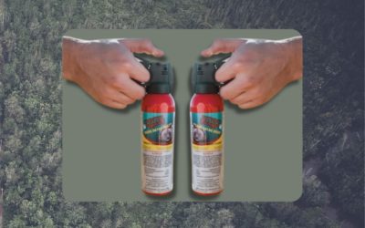 The 5 Best Bear Sprays for Practice & Survival