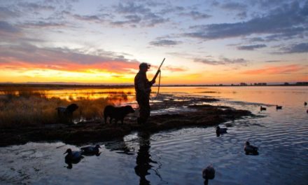 USFWS Opens More Hunting and Fishing Access, Looks to Phase Out Lead Use