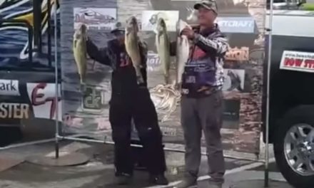 What to Know About the Lake Erie Walleye Trail Tournament Cheating Scandal