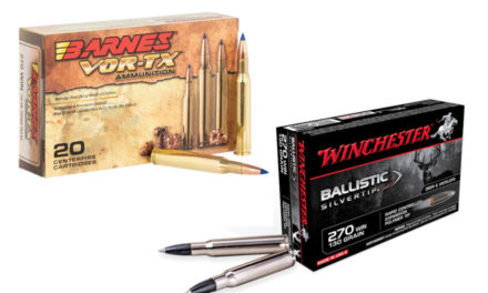 .270 Winchester Ammo: Our Top 12 Picks for Hunting