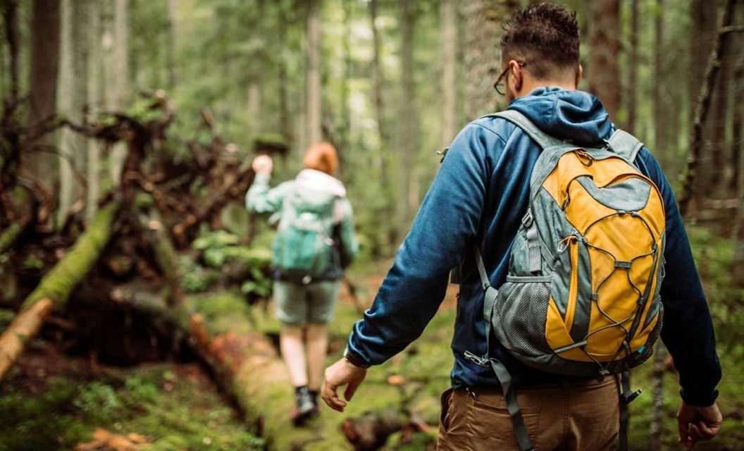 6 Signs to Take Caution While Walking the Woods or Hiking