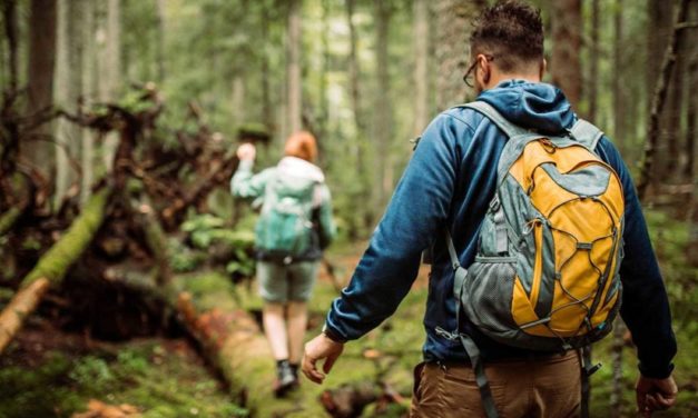 6 Signs to Take Caution While Walking the Woods or Hiking