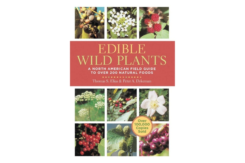 best foraging books