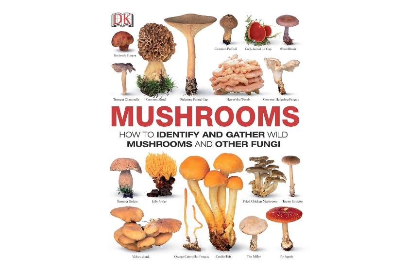 best foraging books