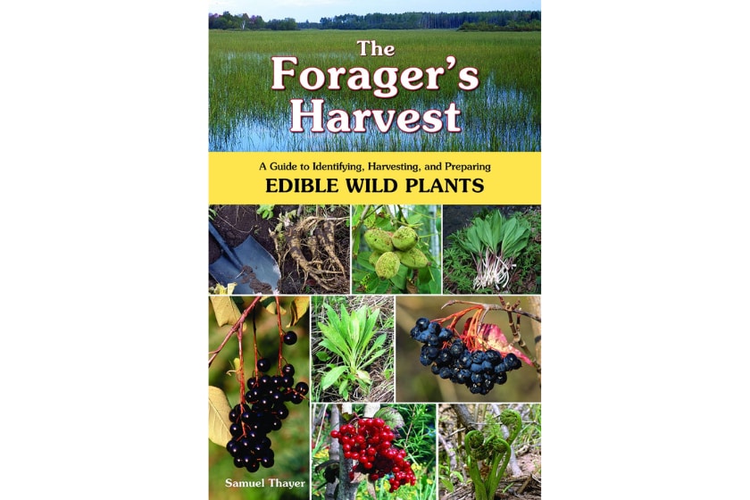 best foraging books