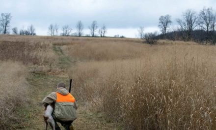 7 Signs You’re Going to Have a Bad Upland Bird Hunt