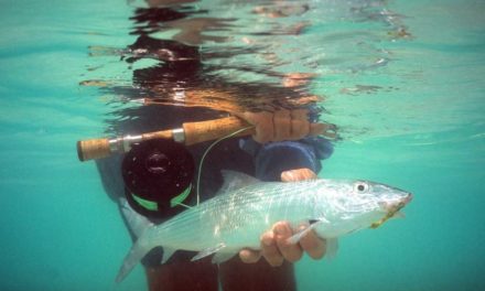 All About the Belize Fly Fishing Grand Slam