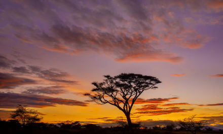 Before Sunrise And After Sunset