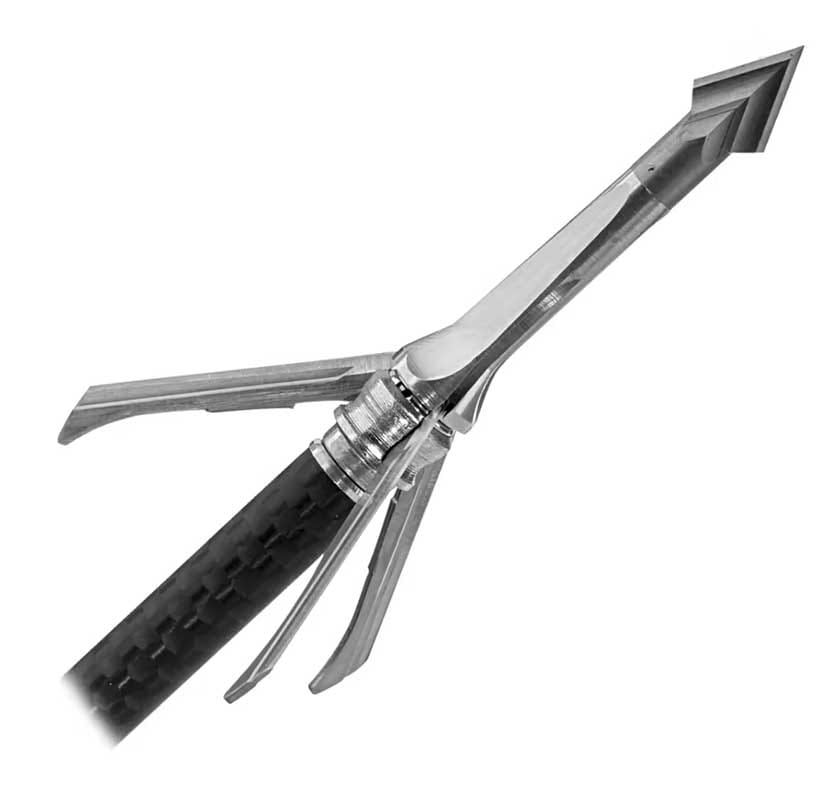 Best Broadheads for Whitetail