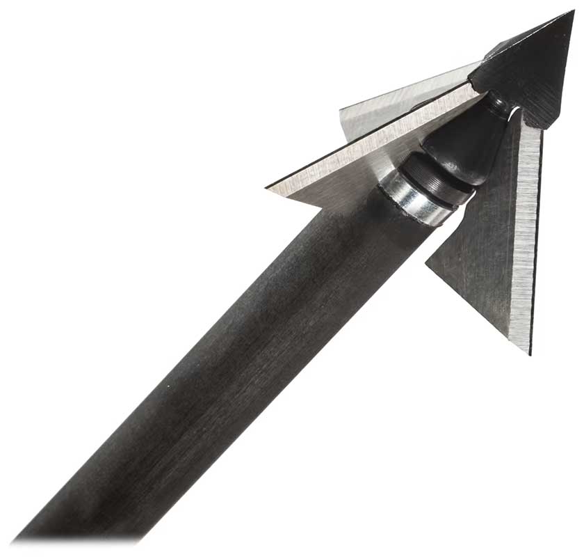 Best Broadheads for Whitetail