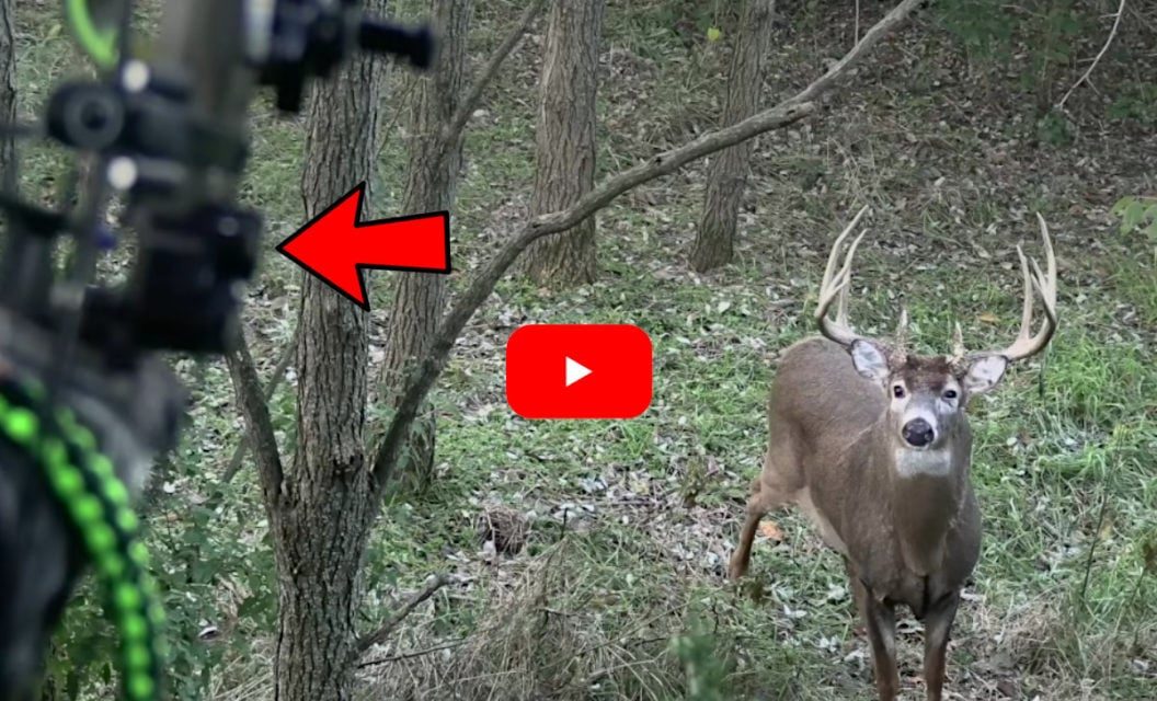 Bowhunter Makes Perfect Shot on Giant, 180-Inch Illinois Buck