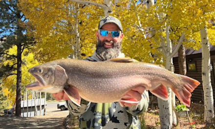 Colorado Sees State Record for Brook Trout Broken for the Second Time This Year