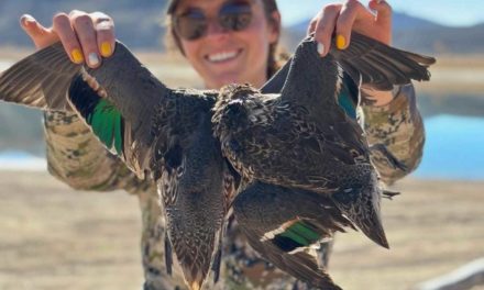 Effective and Affordable Duck Hunting Gear Sets for Anyone on a Budget