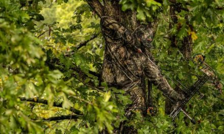 How to Stay Comfortable in Your Treestand