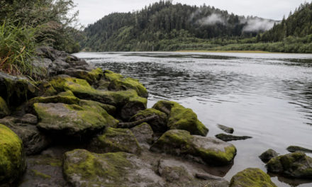 Klamath River Dams Set to Be Demolished in World’s Largest Removal Project