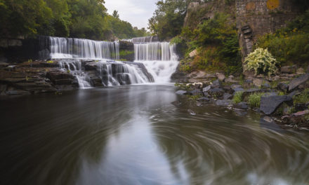 Photo Of The Day By Gretchen Henninger