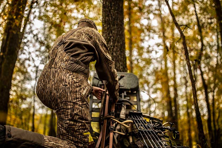 treestand safety