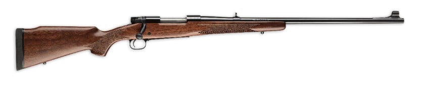 Bear Hunting Rifle