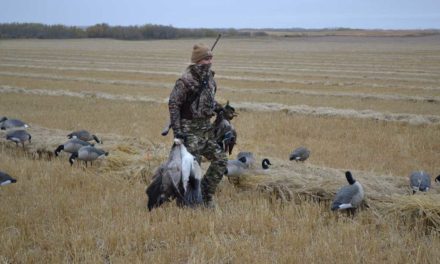 Why I Don’t Share Every Hunting Harvest on Social Media