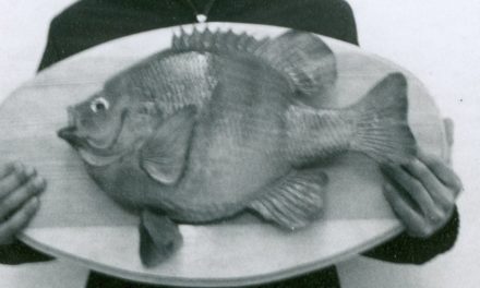 Why The World Record Bluegill May Never Be Topped