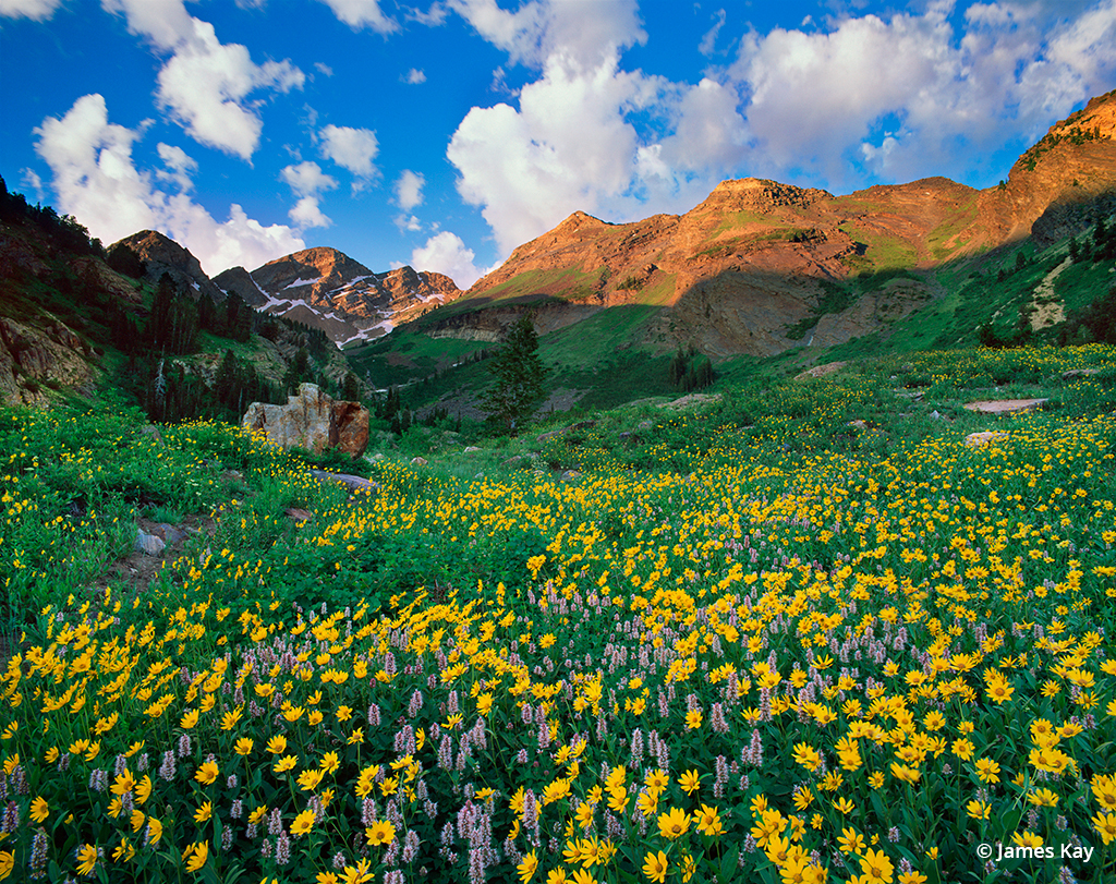 Photo of Twin Peaks Wilderness Area, northern Utah.