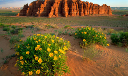 Wildlands Of Utah