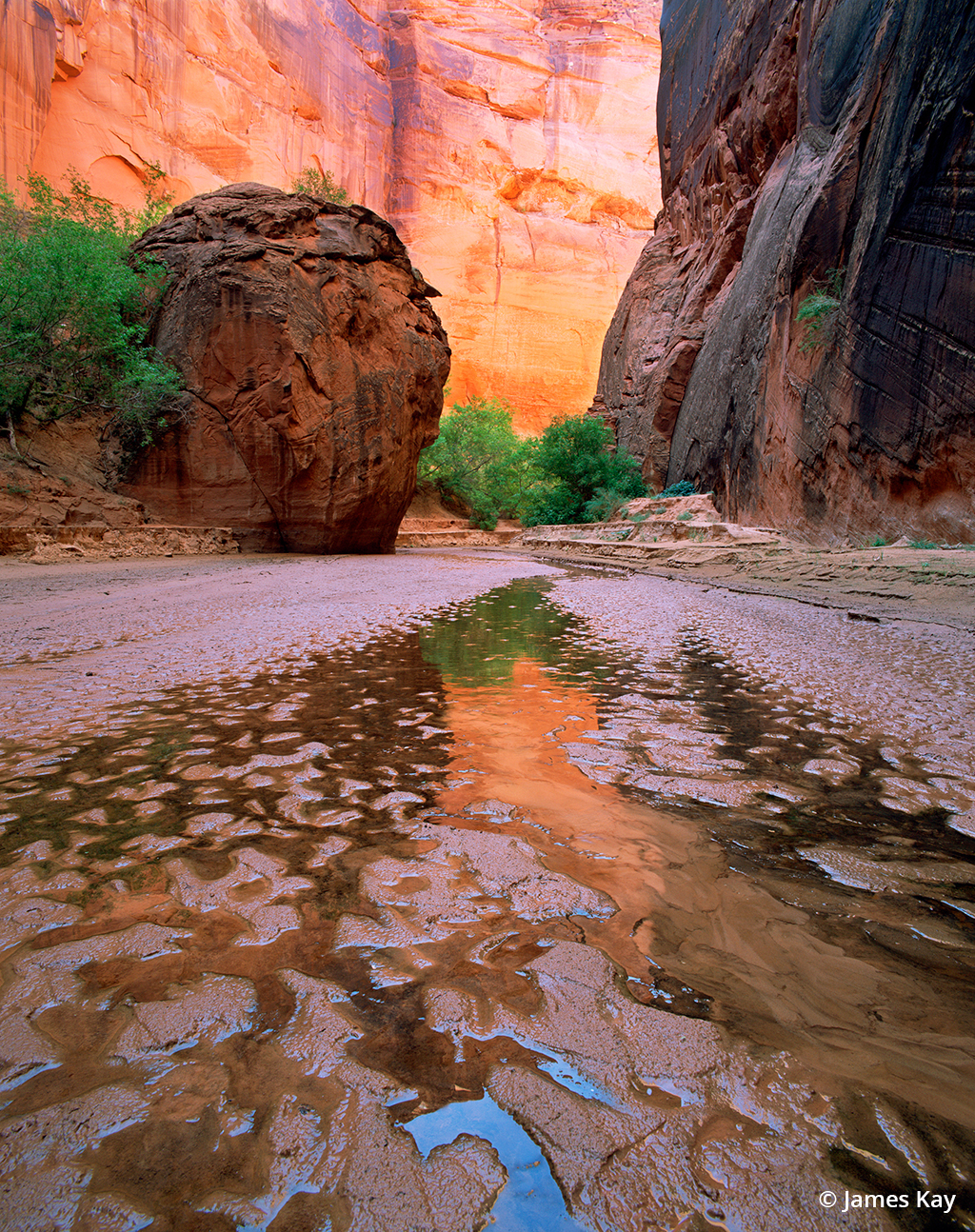 Photo of Paria Canyon Wilderness Area, Utah