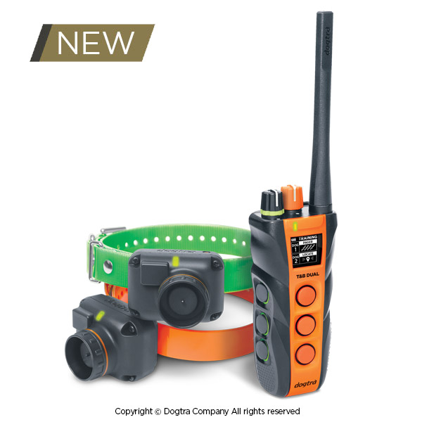 4 Best Hunting Dog Collars Outdoor Enthusiast Lifestyle Magazine