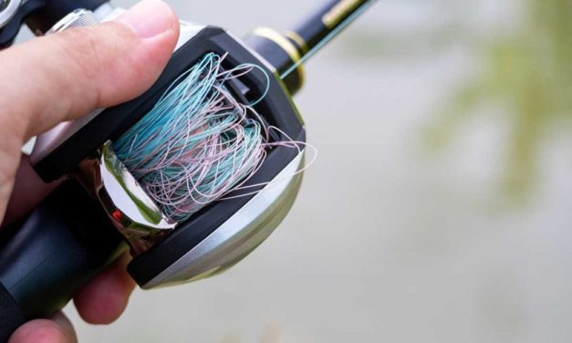 6 Most Common Reasons You’re Getting Backlash With Your Baitcasting Reel