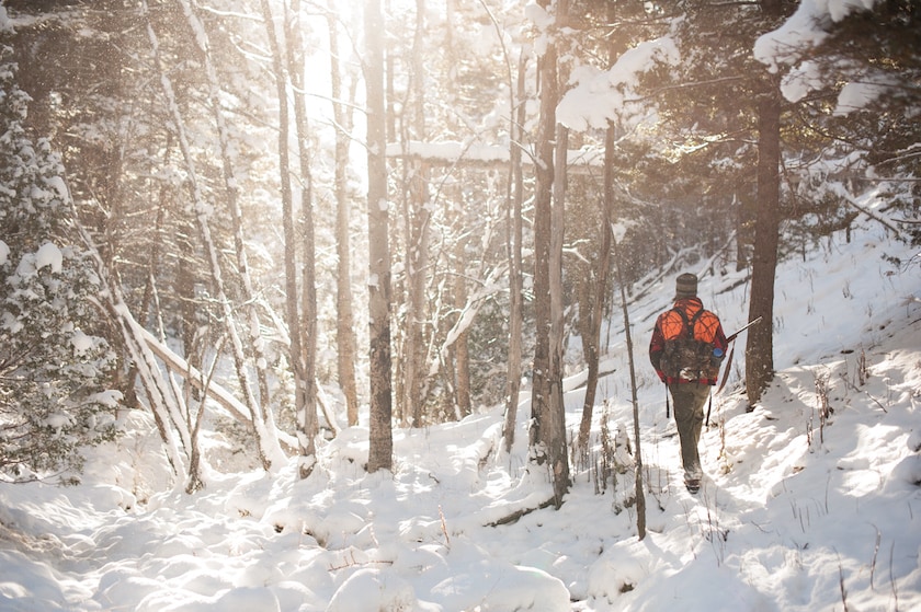 A male hunter wearing blaze orange and carrying a rifle walk into bright, sunny, and snowy woods.