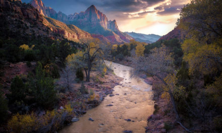 Finding Inspiration In Our National Parks Assignment Winner Denis Dessoliers