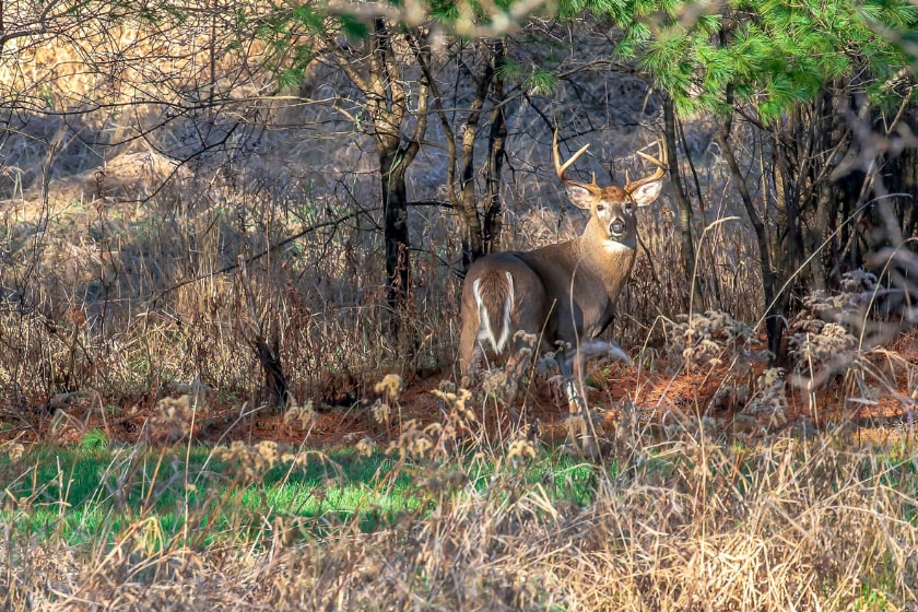 share secret hunting spots