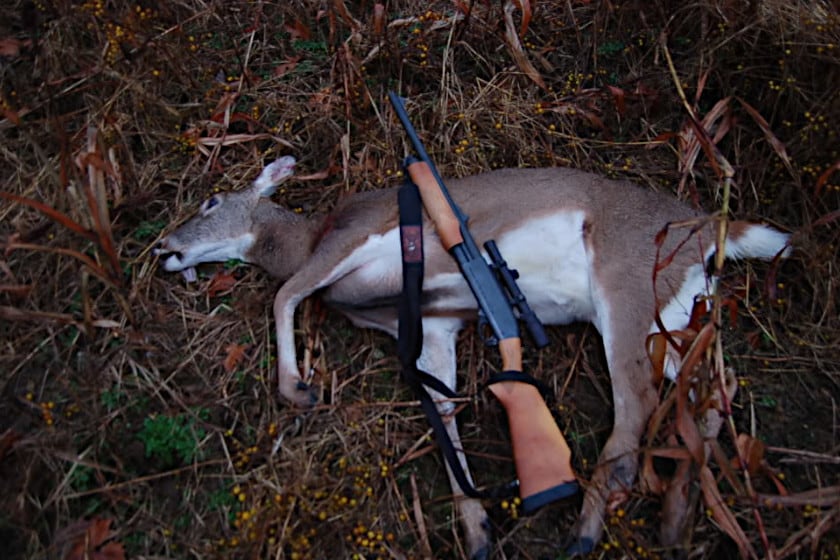 Michigan Late Doe Season