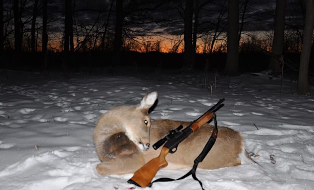 Michigan Late Doe Season, Key Dates and Regulations to Know