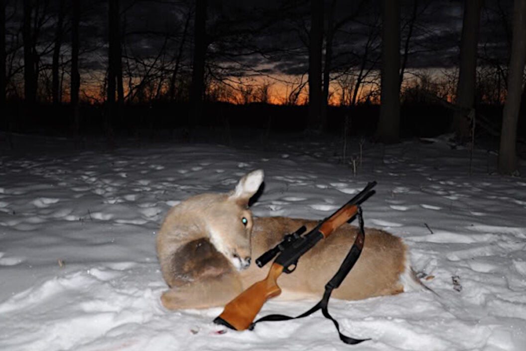 Michigan Late Doe Season