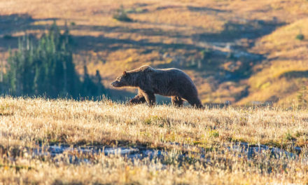 Photo Of The Day By Caleb Lawson