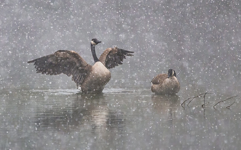 Photo Of The Day By Larry Holder