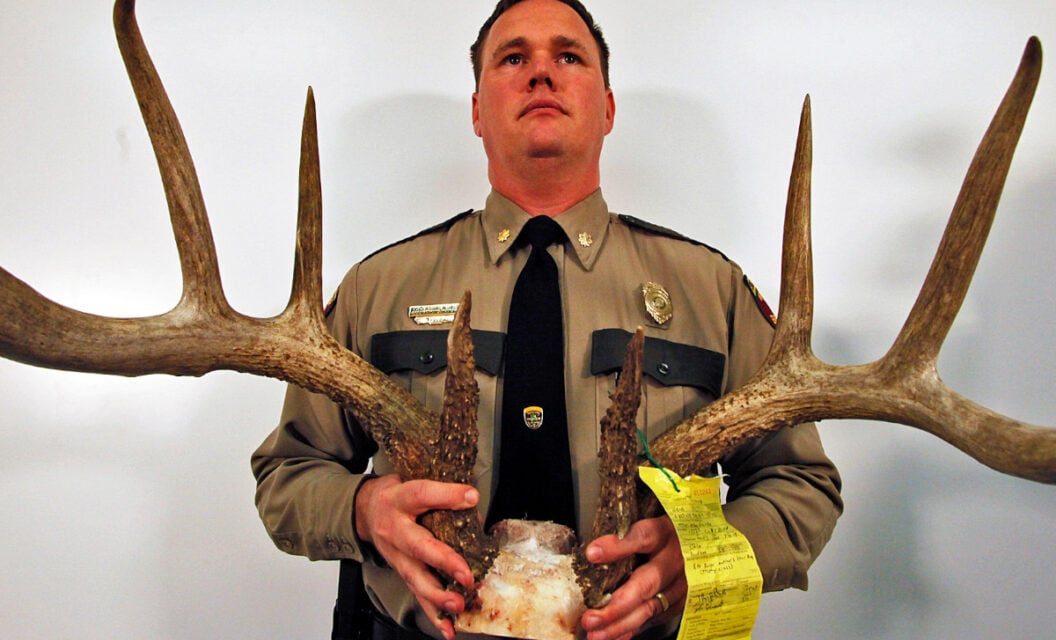 Poachers vs. Hunters – Let’s Get the Terminology Correct