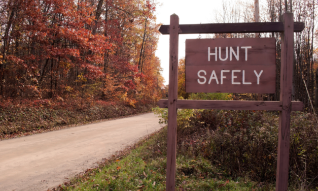 Recent Hunting Regulation Changes and What They Mean for Conservation