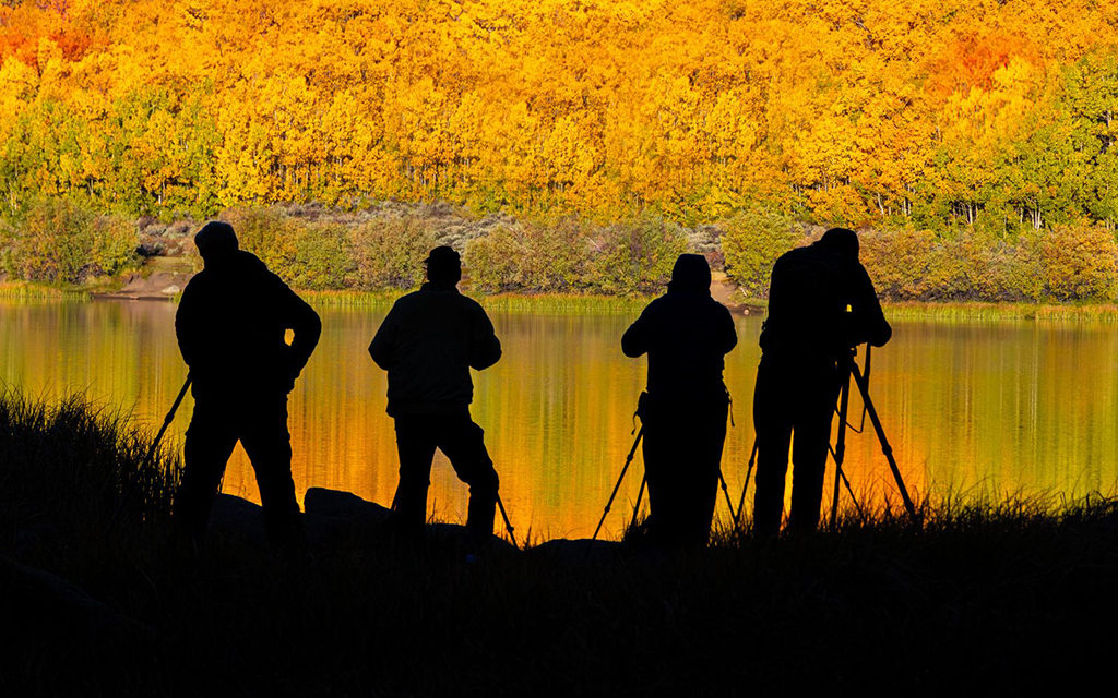 2022 Photography Assignment Winners