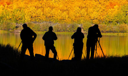 2022 Photography Assignment Winners