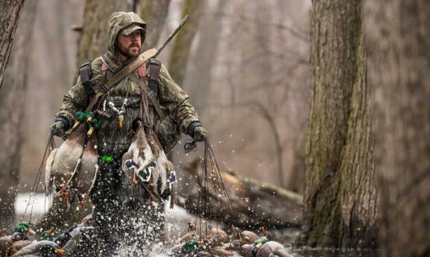 4 Duck Hunting Hotbeds in the U.S.