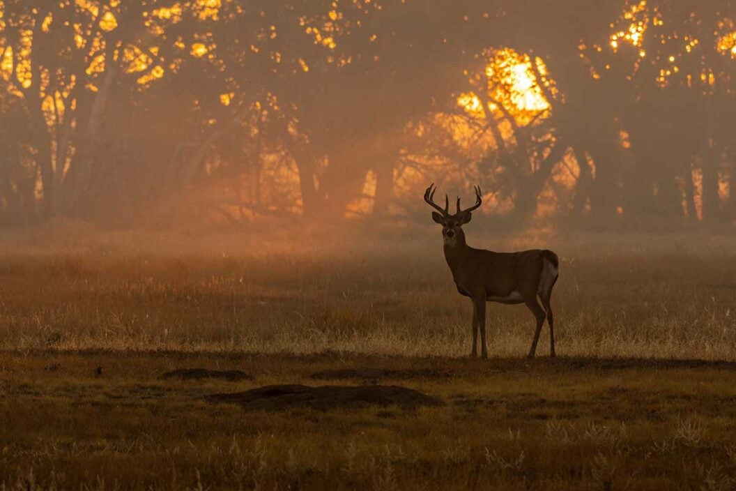 deer season ends