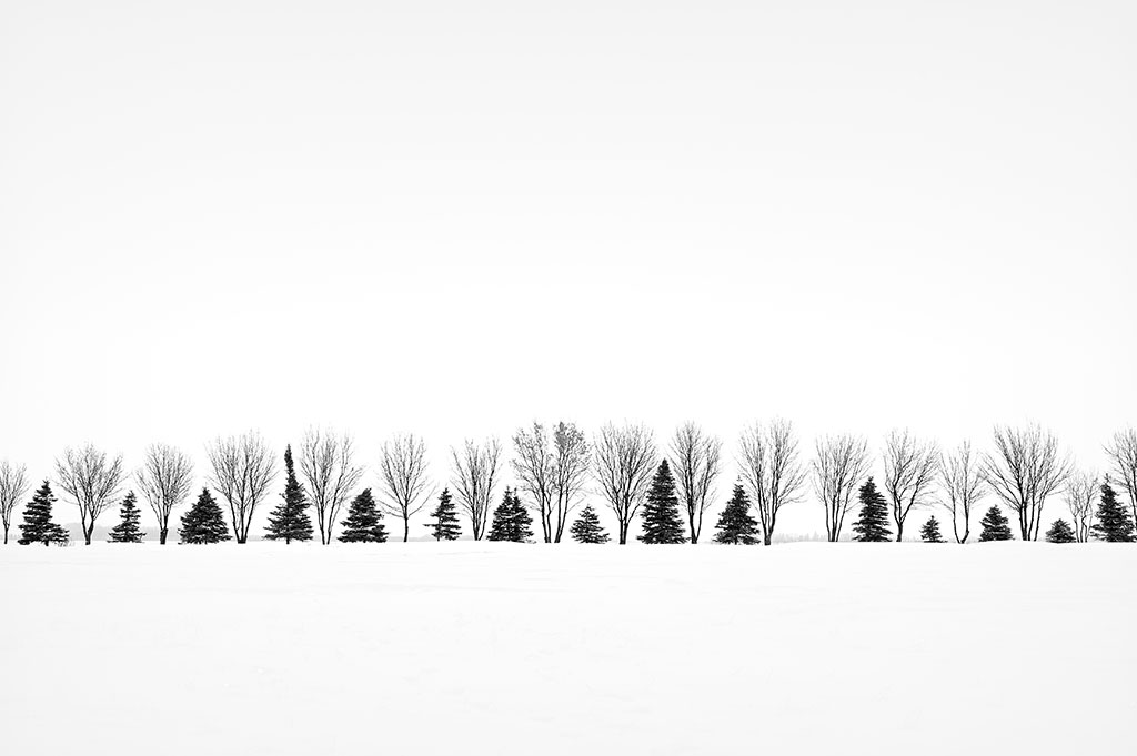 Photo of snowy winter landscape