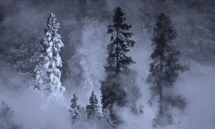 7 Ways To Take Wonderful Winter Photos