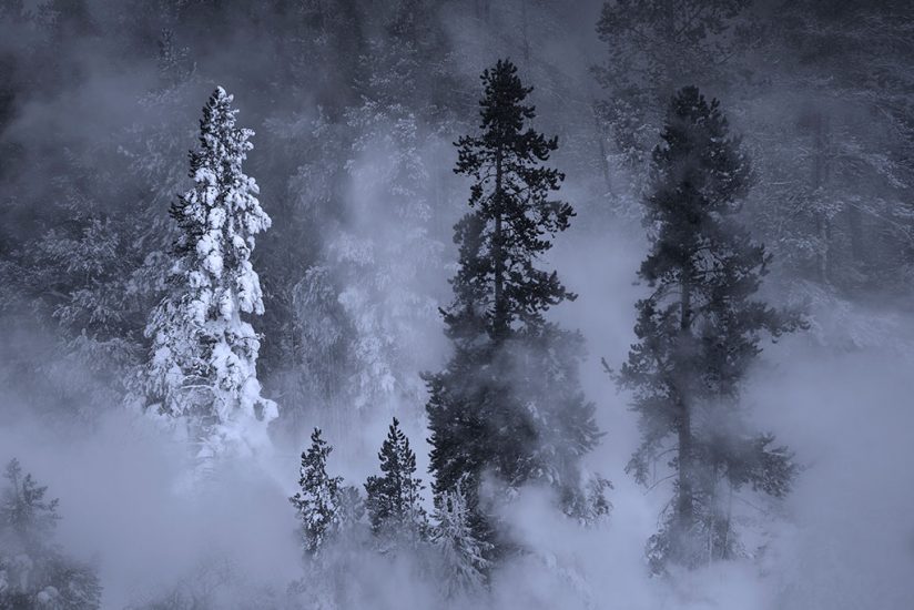 7 Ways To Take Wonderful Winter Photos