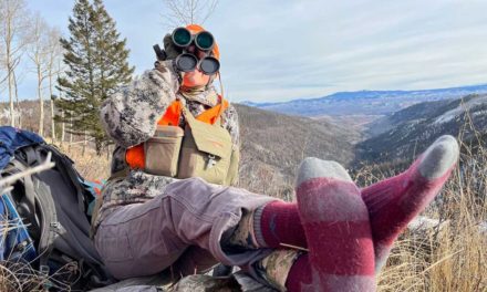 A Colorado Hunter’s Best Techniques for Glassing Up Elk