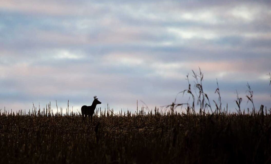 First-Time Deer Hunter With Brain Cancer Takes Down 8-Point Buck