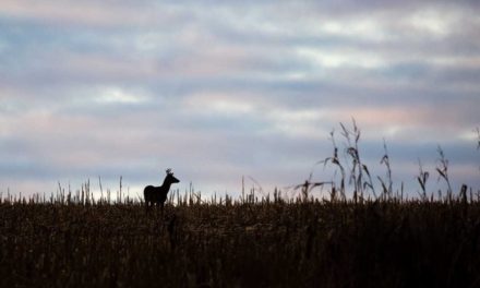 First-Time Deer Hunter With Brain Cancer Takes Down 8-Point Buck